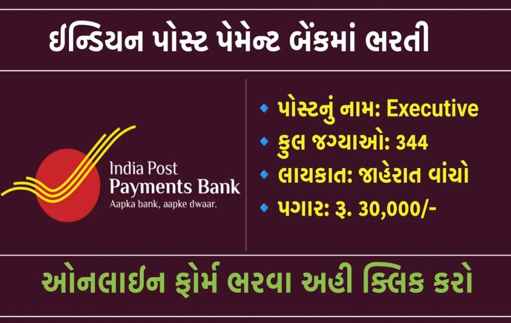 IPPB Executive Recruitment 2024